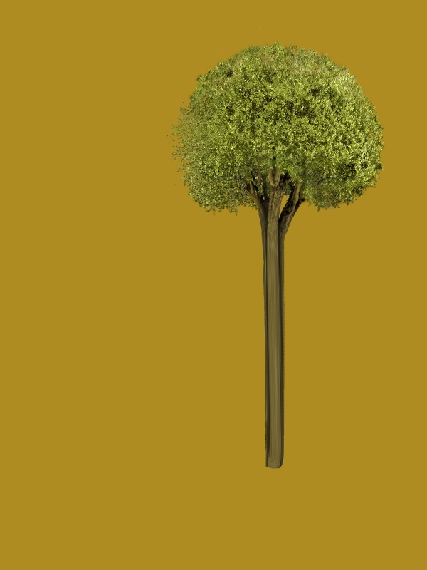 Creation of Adorning the Topiary: Step 5